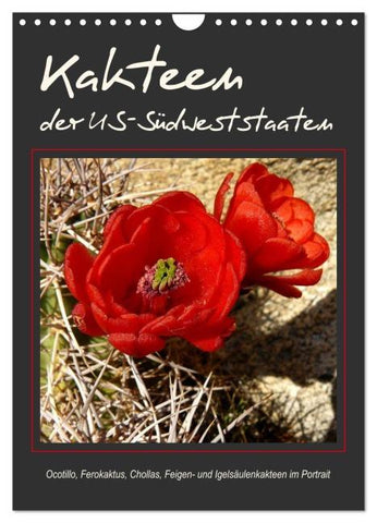 Kakteen der US-Südweststaaten (Wandkalender 2026 DIN A4 hoch), CALVENDO Monatskalender