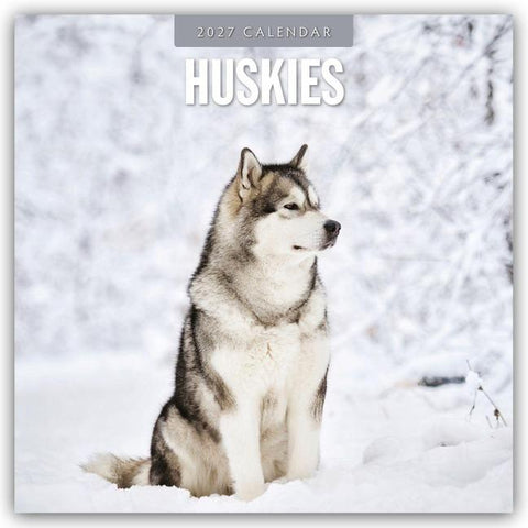 Huskies – Husky – Huskys 2027 – 16-Monatskalender