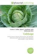 Cabbage
