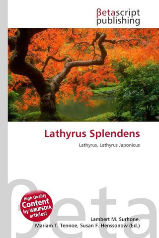 Lathyrus Splendens