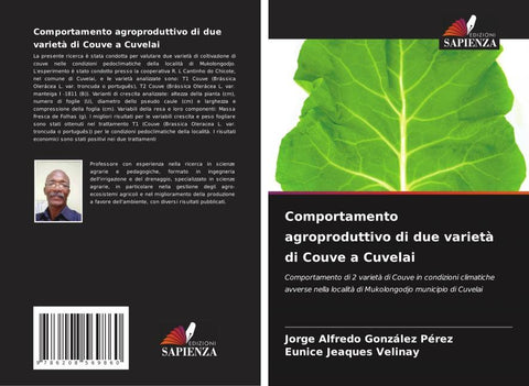 Comportamento agroproduttivo di due varietà di Couve a Cuvelai