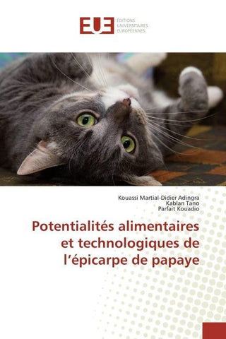 Potentialités alimentaires et technologiques de l'épicarpe de papaye