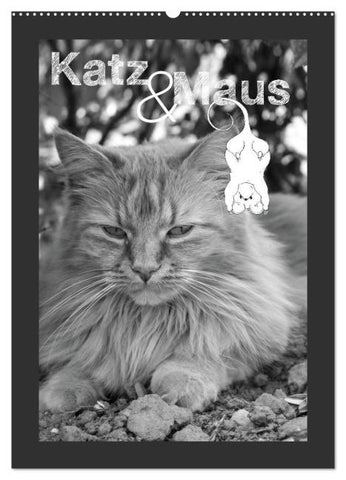 Katz & Maus (Wandkalender 2026 DIN A2 hoch), CALVENDO Monatskalender