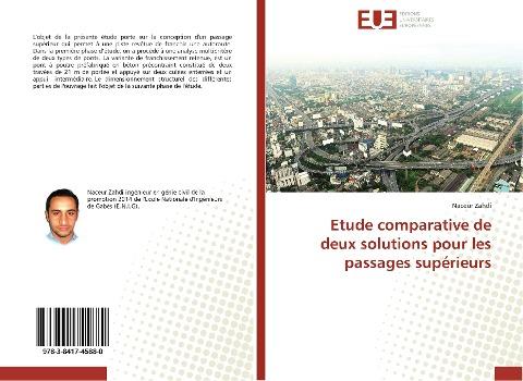 Etude comparative de deux solutions pour les passages supérieurs