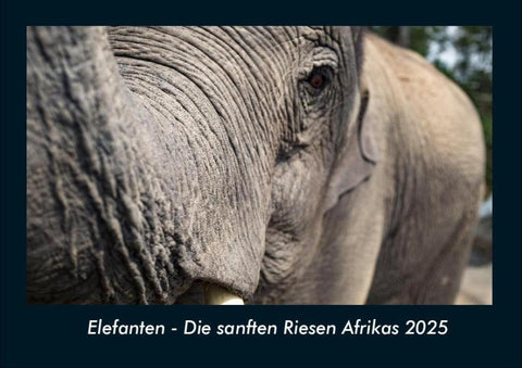 Elefanten - Die sanften Riesen Afrikas 2025 Fotokalender DIN A4