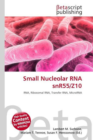 Small Nucleolar RNA snR55/Z10