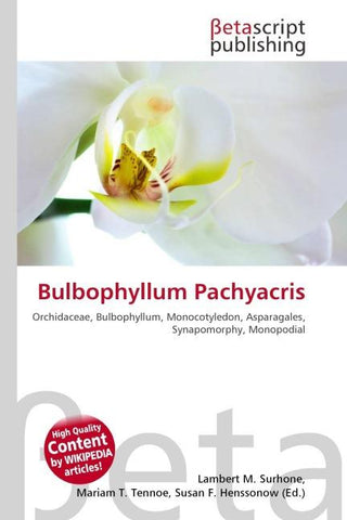 Bulbophyllum Pachyacris