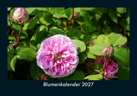 Blumenkalender 2027 Fotokalender DIN A5
