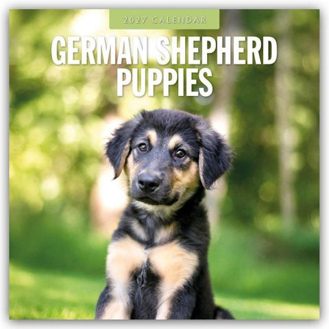 German Shepherd Puppies – Deutsche Schäferhunde Welpen 2027 – 16-Monatskalender