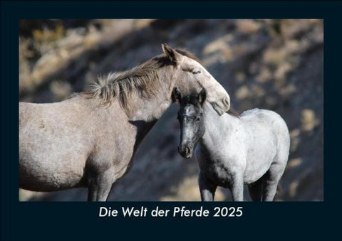 Die Welt der Pferde 2025 Fotokalender DIN A5