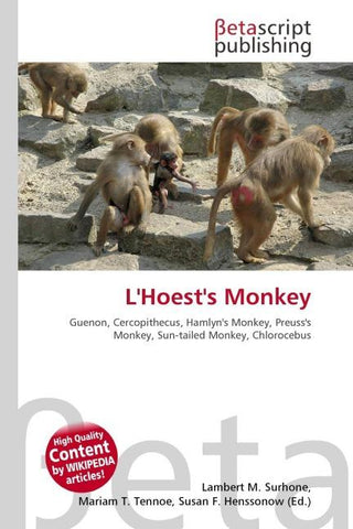L'Hoest's Monkey