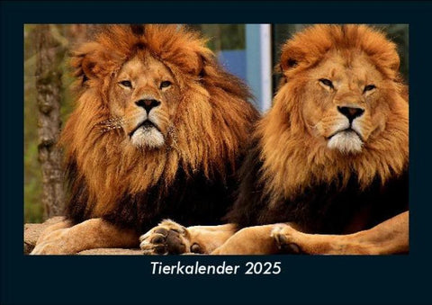 Tierkalender 2025 Fotokalender DIN A5