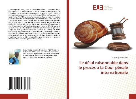 Le délai raisonnable dans le procès à la Cour pénale internationale