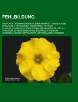 Fehlbildung