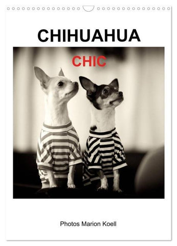 CHIHUAHUA CHIC Photos Marion Koell (Wandkalender 2026 DIN A3 hoch), CALVENDO Monatskalender