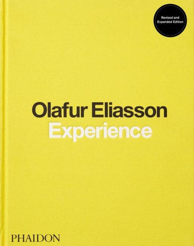 Olafur Eliasson, Experience