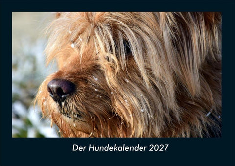 Der Hundekalender 2027 Fotokalender DIN A4