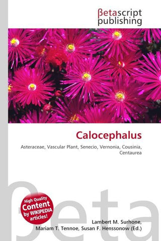 Calocephalus