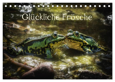 Glückliche Frösche (Tischkalender 2026 DIN A5 quer), CALVENDO Monatskalender