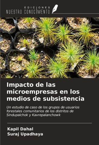 Impacto de las microempresas en los medios de subsistencia