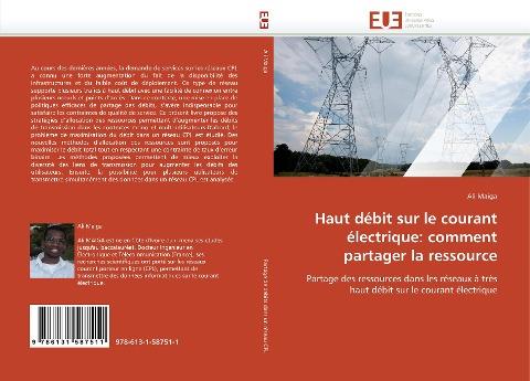 Haut débit sur le courant électrique: comment partager la ressource