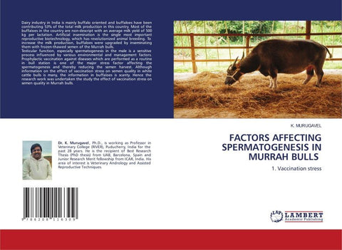 FACTORS AFFECTING SPERMATOGENESIS IN MURRAH BULLS