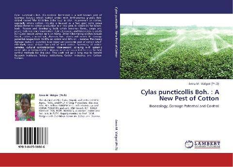 Cylas puncticollis Boh. : A New Pest of Cotton