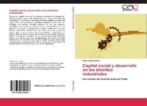 Capital social y desarrollo en los distritos industriales