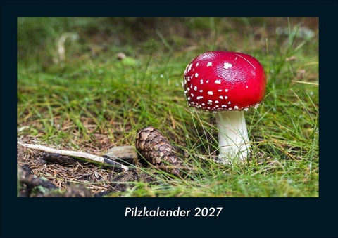 Pilzkalender 2027 Fotokalender DIN A4
