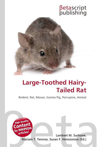 Large-Toothed Hairy-Tailed Rat
