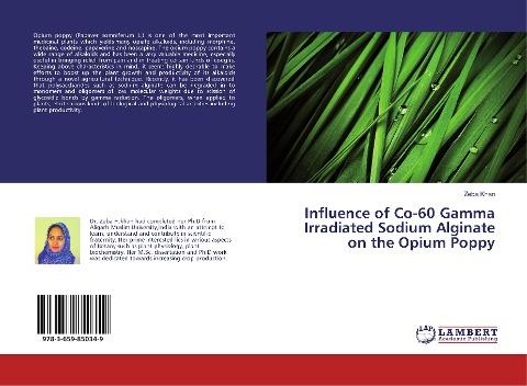 Influence of Co-60 Gamma Irradiated Sodium Alginate on the Opium Poppy