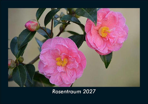 Rosentraum 2027 Fotokalender DIN A5