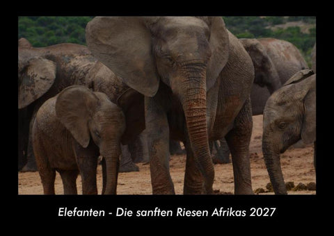 Elefanten - Die sanften Riesen Afrikas 2027 Fotokalender DIN A3