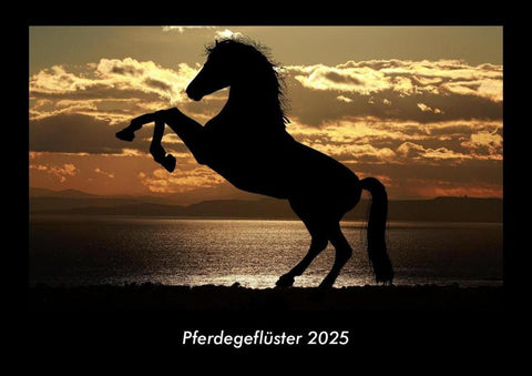 Pferdegeflüster 2025 Fotokalender DIN A3
