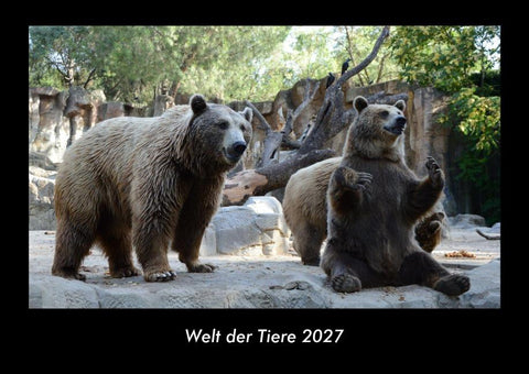 Welt der Tiere 2027 Fotokalender DIN A3