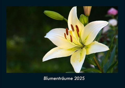 Blumenträume 2025 Fotokalender DIN A4