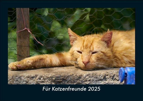 Für Katzenfreunde 2025 Fotokalender DIN A5