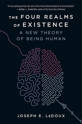 The Four Realms of Existence