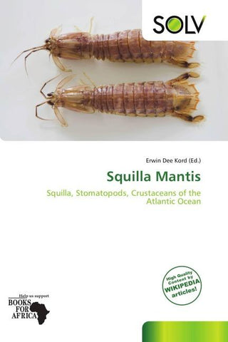 Squilla Mantis