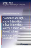 Plasmonics and Light–Matter Interactions in Two-Dimensional Materials and in Metal Nanostructures