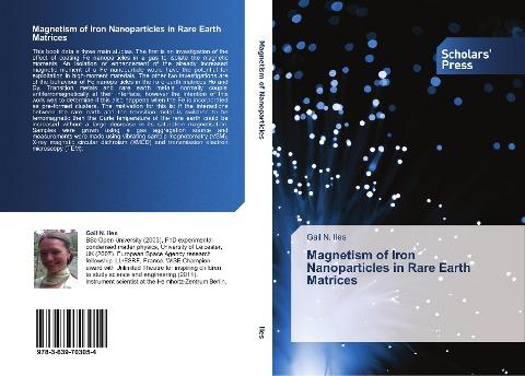 Magnetism of Iron Nanoparticles in Rare Earth Matrices