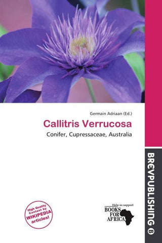 Callitris Verrucosa