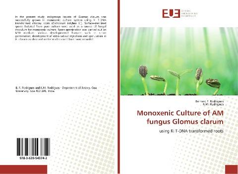 Monoxenic Culture of AM fungus Glomus clarum
