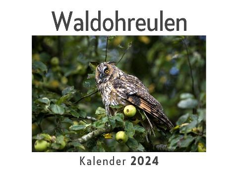Waldohreulen (Wandkalender 2024, Kalender DIN A4 quer, Monatskalender im Querformat mit Kalendarium, Das perfekte Geschenk)