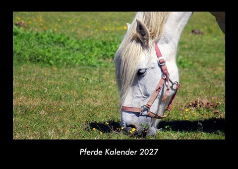 Pferde Kalender 2027 Fotokalender DIN A3