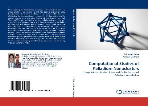 Computational Studies of Palladium Nanoclusters