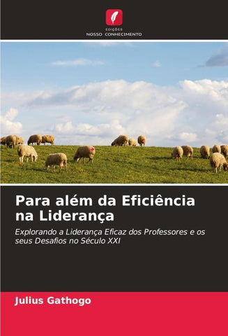 Para além da Eficiência na Liderança