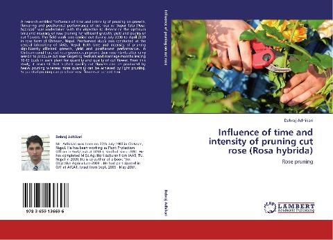 Influence of time and intensity of pruning cut rose (Rosa hybrida)