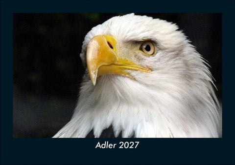 Adler 2027 Fotokalender DIN A5