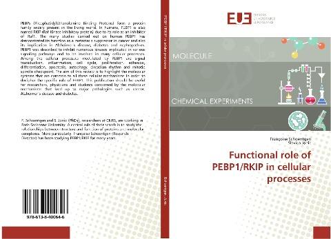Functional role of PEBP1/RKIP in cellular processes